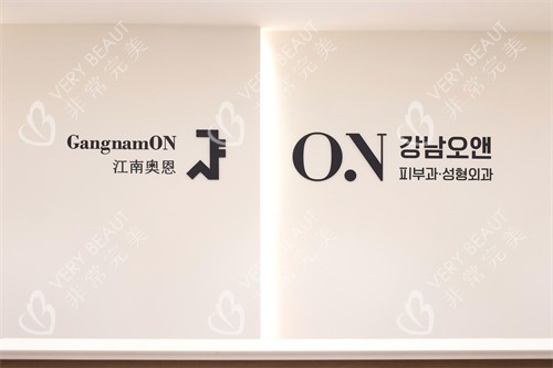 韩国江南ON整形医院logo