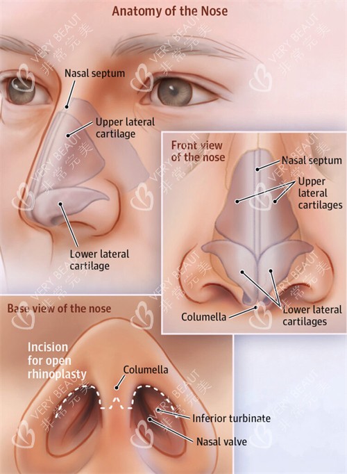 注射美容卡通图片 注射美容卡通图片