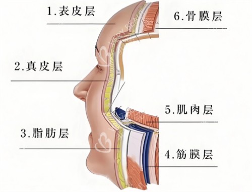 抗衰层次简介 抗衰层次简介