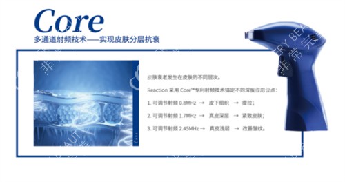 芮艾瑅少女枪的作用图解