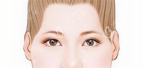 太阳穴的凹陷 太阳穴的凹陷