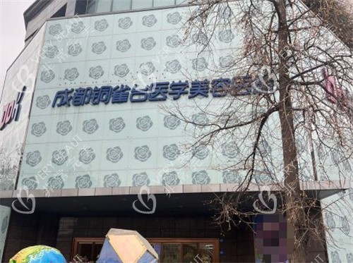 成都铜雀台整形外观图 成都铜雀台整形外观图