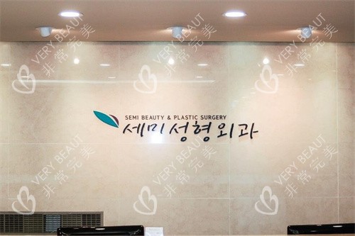 韩国世美整形医院LOGO 韩国世美整形医院LOGO