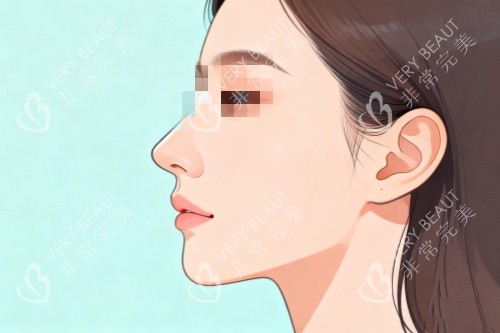 好看鼻型卡通图