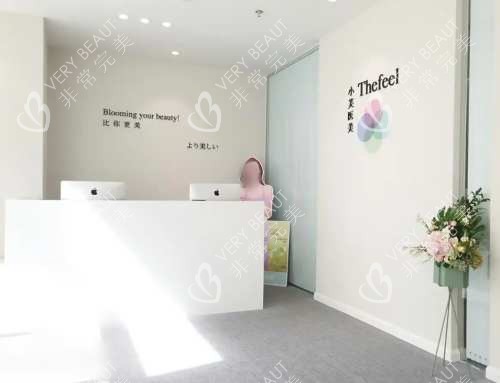 自体脂肪隆胸图