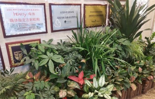 呼和浩特京美整形荣誉墙环境图